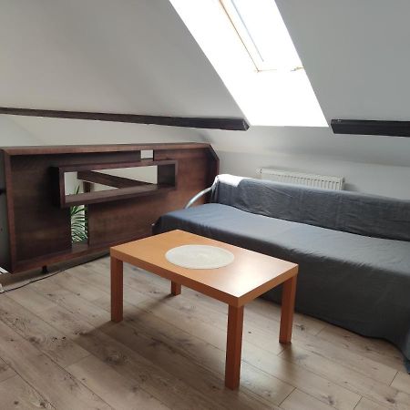 Attic Parkview Apartment Piest'any Extérieur photo