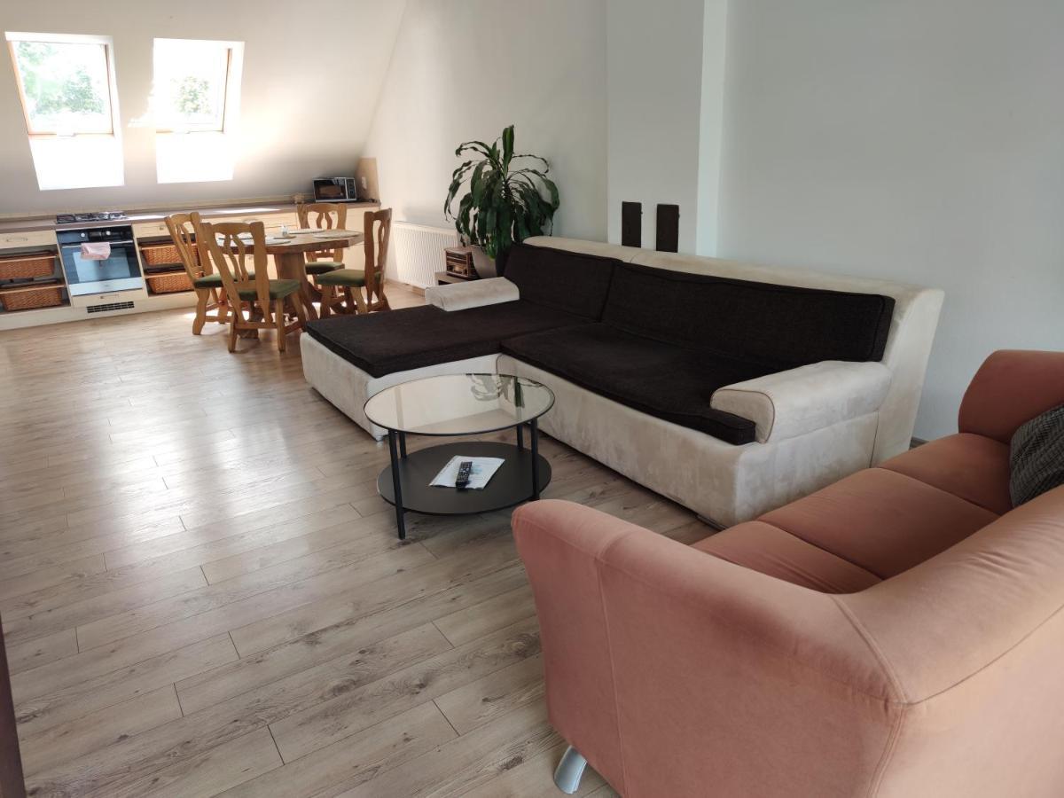 Attic Parkview Apartment Piest'any Extérieur photo